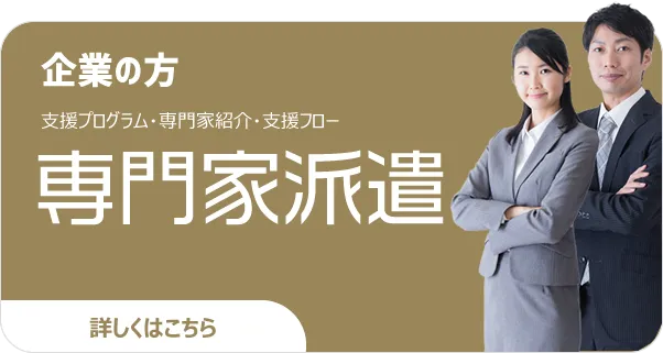 専門家派遣